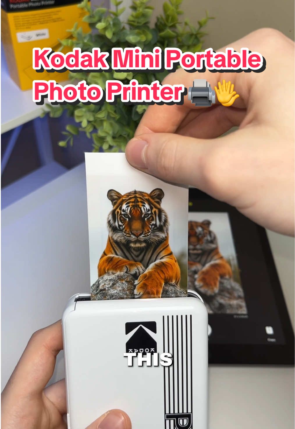 This portable Kodak Mini Printer is my new favorite purchase! I’m definitely going to use this ALL summer long 📸🌤️ #photos #photoprinter #photoprint #fotos #memory #TikTokShop #TikTokMadeMeBuyIt #kodak #kodakprinter #fypシ 