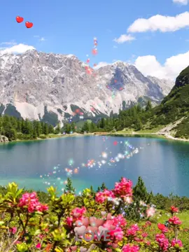 #mojadotengoelpechomojado