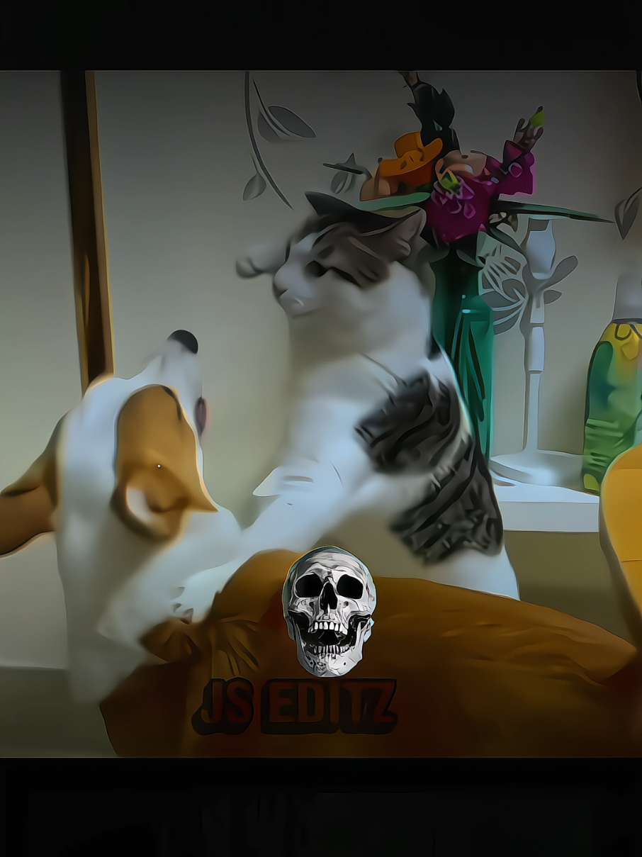 kung Fu Cats💀 #capcut #edit #troll #trollface #cat #kungfu #fyp #foryoupage #goviral 