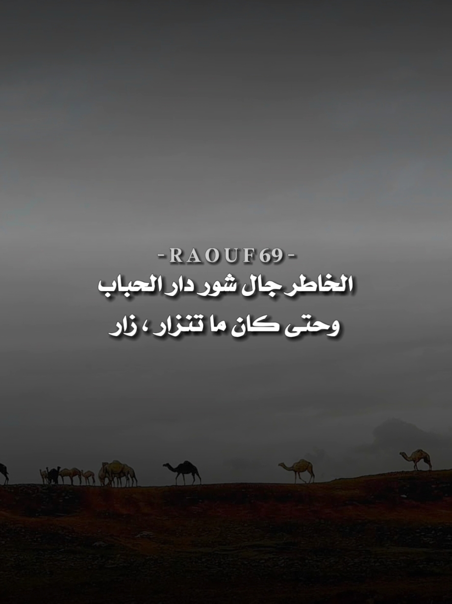 بلاغة امير القوافي الشاعر ابوبكر بوحويه❤️🔥. الخاطر جال شور دار الحباب،وحتى كان ما تنزار زار. - #بوبكر_بوحويه #شعر_ليبي #شعر #شعراء_وذواقين_الشعر_الشعبي #ورفله #درنه #اكسبلور #اعادة_النشر🔃 