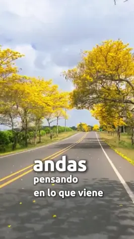 Solo disfruta del paisaje #paisaje #viaje #disfruta #CapCut #plantilla #naturaleza 