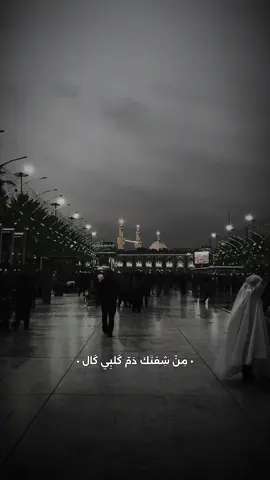 #كربلاء_مدينة_العشق_والعاشقين 