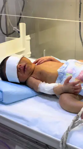Premature Baby In Incubator 🥰🥰 Pray for baby’s Fast Recovery ❤️‍🩹  #BabyFeeding #NewbornReaction #BabyAfterFeed #CuteBabyMoments #NICU #BabyCare #NeonatalCare #NewbornLove #ParentingTips #DoctorLife #ParentingTips #BabyExpressions #foryoupage❤️❤️ #follow #PrematureBaby #PreemieFighter 