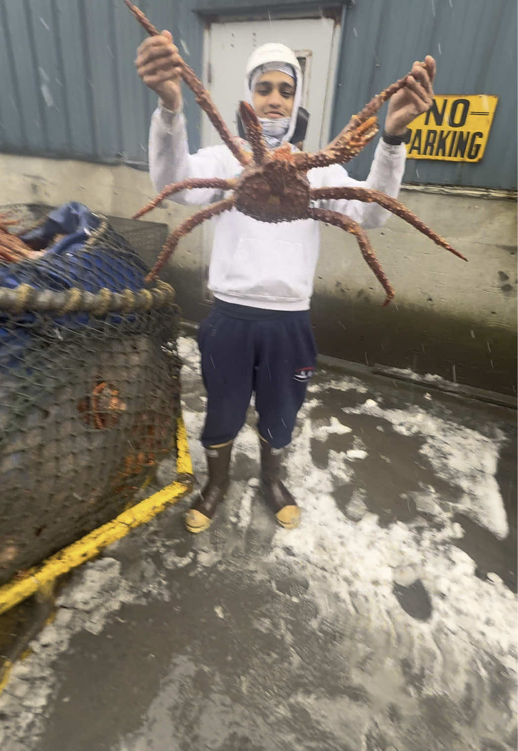 Massive Alaskan King Crab from the Bering Sea 🦀🦀🦀 #alaska #crab #winter #fyp