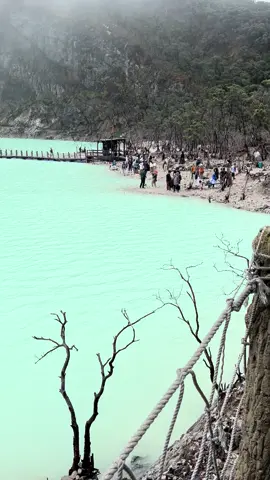 📍 Kawah putih Bandung 😍 #fyp #bandung #kawahputih 