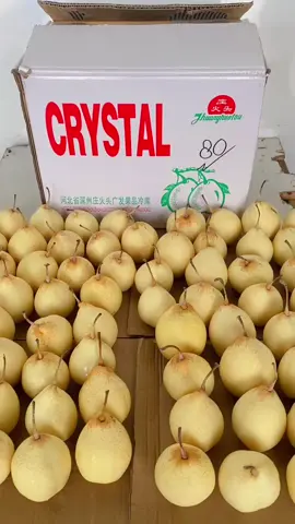 #pearmadu #buahpear #obat #obatbatuk #pearyalie #pear #mukbang #buahindonesia #buahimport #buahimportsurabaya #buahimportmurah 