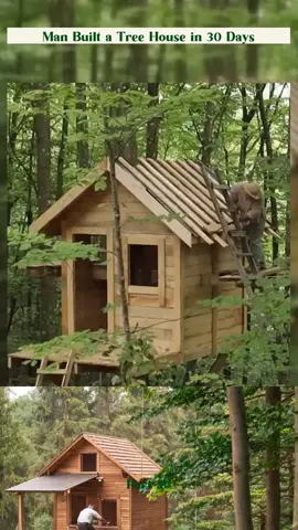 Man Built a Tree House in 30 Days part 20 #cabin #building #offgrid #homestead