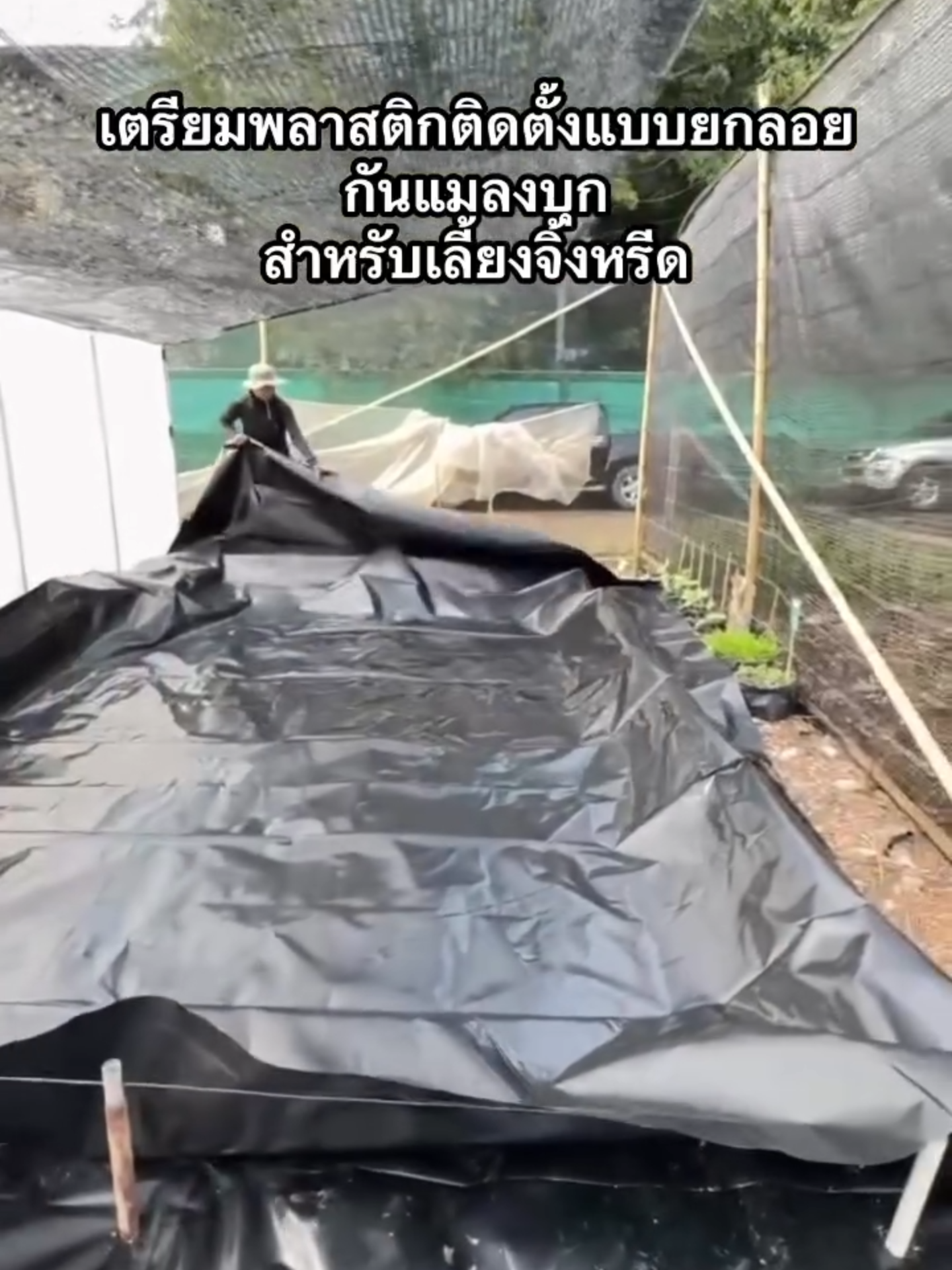 ใช้พลาสติก Ldpe เป็นวัสดุ หลักสำหรับการเลี้ยงจิ้งหรีดค่ะ. ในคลิปทำส่วนฐานรองน้ำเพื่อป้องกันแมลงจู่โจมจิ้งหรีดค่ะ.  #เกษตรพลัส  #พลาสติกLDPE  #เกษตรยุคใหม่  #บ่อสำเร็จรูป  #พลาสติกเกษตร #kaset  #kasetplus  #plastickaset #พลาสติกปูบ่อ  #บ่อขึ้นทรงสำเร็จรูป  #เลี้ยงจิ้งหรีด  #จิ้งหรีดทอด