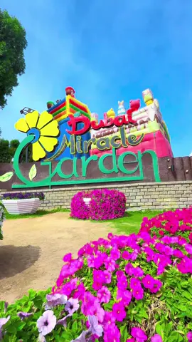 Miracle Garden 🪴 D U B A I 🇦🇪😍💗 #samiiabbas  #dubai🇦🇪  #miraclegarden #uae🇦🇪  #aindubai #VisitDubai  #DubaiVibes #dxb  #indubai  #foryou  #viral #fyp 