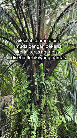 #fyppppppppppppppppppppppp #katastorywa #katabijak #rojamaulana27 