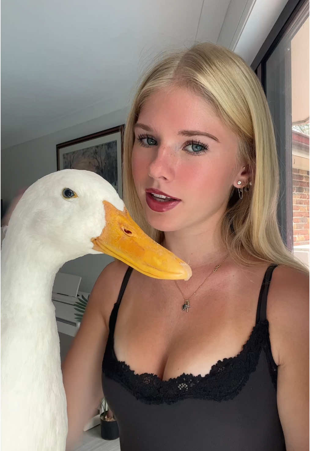 angry ducky #duck
