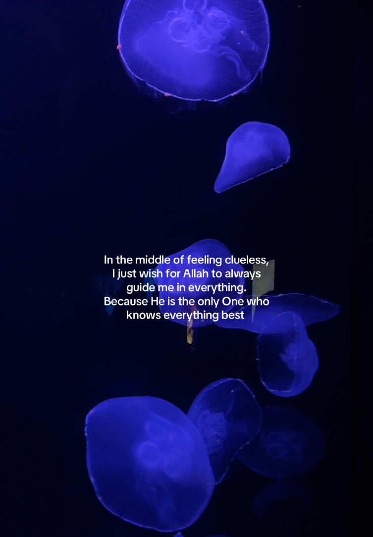 I may not always know where I’m going, but I trust that He is leading me exactly where I need to be 💛 #muslim #ramadhankareem #reminder #muslimah 