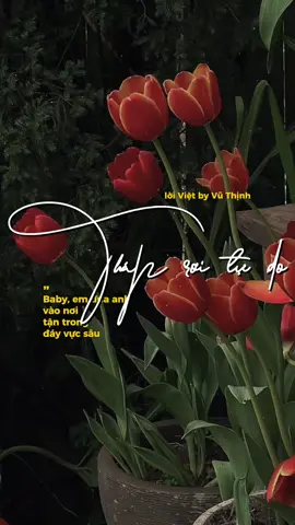 #CapCut baby em đưa anh vào nơi tận trong đáy vực sâu #thaproitudo #vuthinh #loiviet  @Vũ Thịnh 