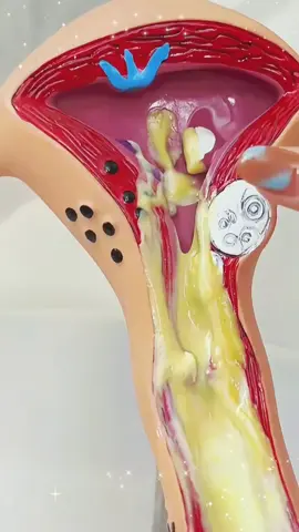 #fypシ #tiktokshop #good #girl #tiktokmademebuyit 