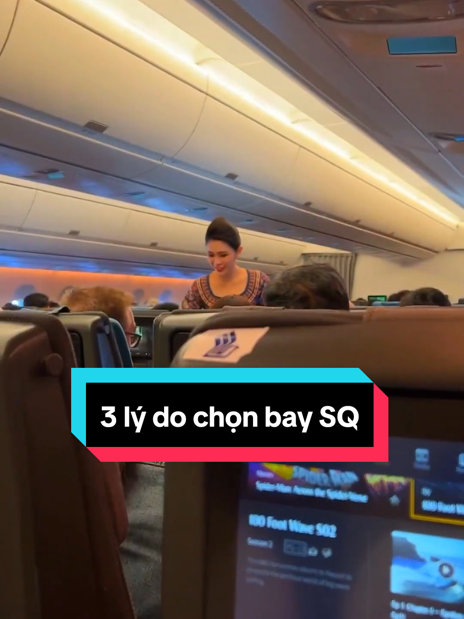 hãng này quá xịn #thosanmaybay #halotripvn #singapore #singaporeairline #maybay #vemaybayhalotrip #LearnOnTikTok 