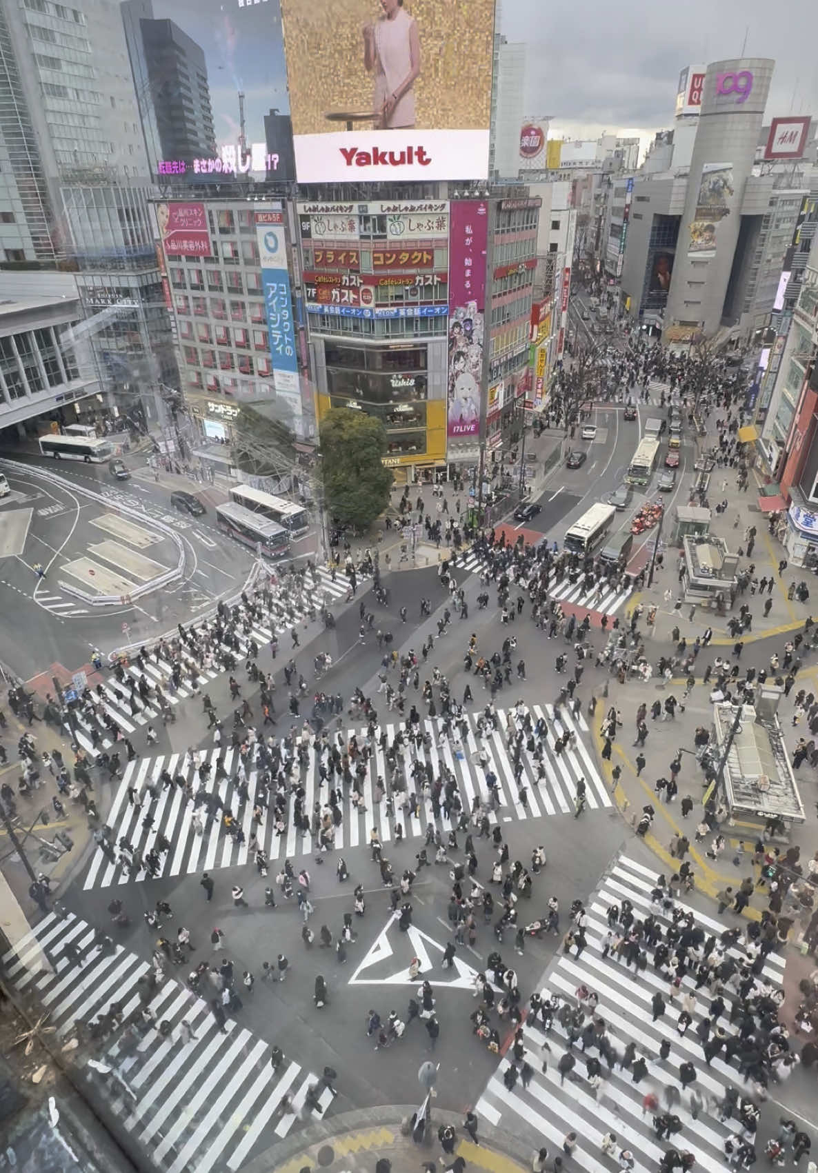The famous Shibuya Crossing   #japan #japantravel #shibuyacrossing 