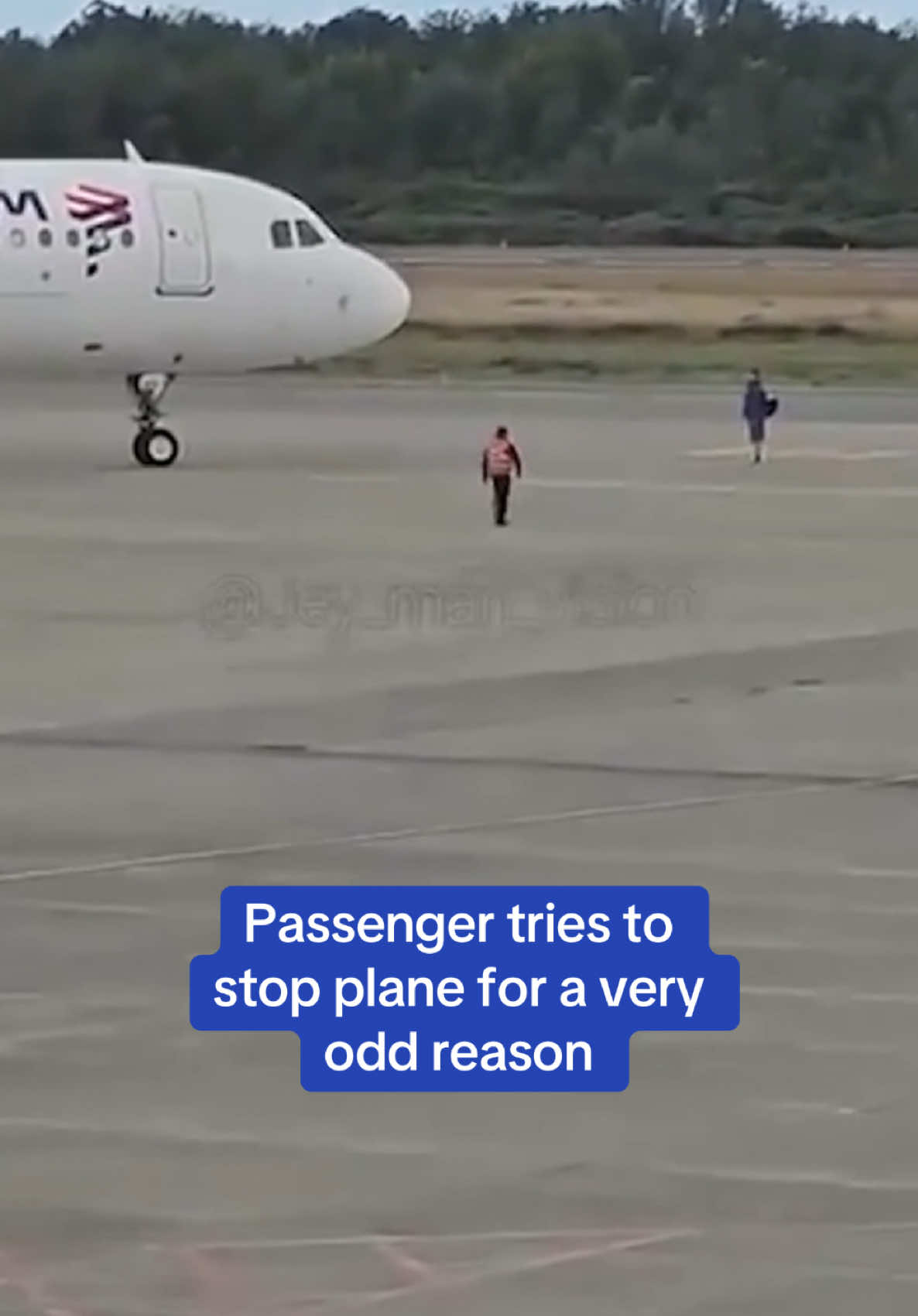 A passenger who missed his flight ran onto the airport tarmac in a desperate attempt to stop the plane from departing. Footage showed the unidentified 29-year-old man running toward the jet in Chile on Monday. The man could be seen waving at the plane in an apparent attempt to capture the pilots' attention in hopes of being allowed on the one-hour flight to the city of Concepción. The man was eventually escorted away by security staff and was later arrested but it wasn't his first run-in with the law. He has been arrested in the past for threats and thefts, according to online news outlet BioBioChile. Read more at DailyMail.com  #chile #flight #plane #ariport #arrest #passenger 