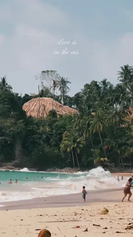 #fyp 