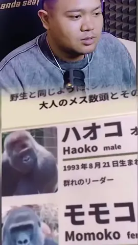 #yourdudh #yourdudhreaction #lucu_ngakak #bismillahfyp 