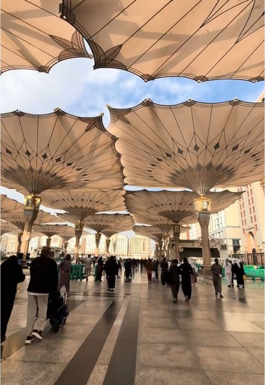 Qalbhi fil medina 🤍✨🕌 #maherzain #harrisj 