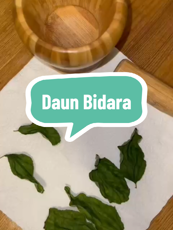 Title: ASMR Bidara Tea – Perlindungan & Ketenangan Sunnah 🌿✨ Description: Rasai keberkatan bidara seperti yang disarankan oleh Imam Wahb bin Munabbih, seorang Tabi' Tabi'in, yang mencadangkan penggunaan 7 helai daun bidara untuk mandi dan minum sebagai ikhtiar perlindungan dari sihir & ‘ayn, Bi’idhnillah. ✅ Manfaat: ✔ Perlindungan daripada gangguan sihir & mata jahat ✔ Menenangkan minda & membersihkan hati ✔ Penawar Sunnah untuk kesihatan rohani & jasmani 👉 Cara guna: 1️⃣ Rendam satu uncang dalam 1 liter air suam. 2️⃣ Baca ayat ruqyah (contohnya, Al-Fatihah, Ayat Kursi, Al-Ikhlas, Al-Falaq & An-Nas). 3️⃣ Tiupkan ke dalam air dengan niat penyembuhan dan perlindungan. 4️⃣ Minum segelas, kemudian gunakan baki air untuk mandian ruqyah sambil berzikir dan berdoa. Amalkan dengan zikir dan doa ruqyah untuk kesan terbaik, Bi’idhnillah! #BidaraTea #RuqyahSunnah #PerlindunganIslam #shifa #bidara #daunbidara #lote #sidr #ayn #sihr #santau #pukao 