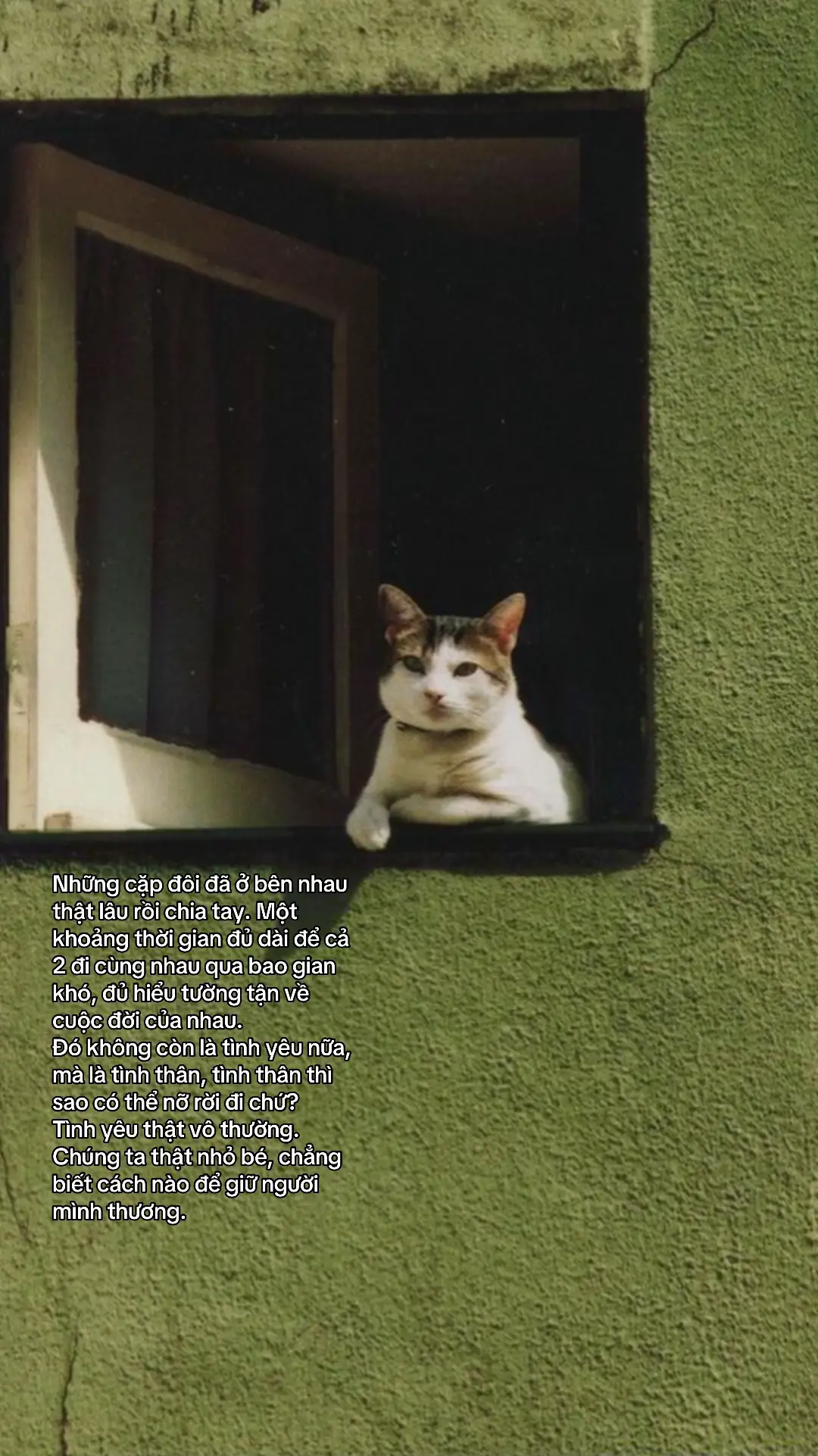 Chẳng biết cách nào để giữ người mình thương #Love #quotes #healing #suutamquotes #tamtrang #xhuong #viraltiktok #xh 