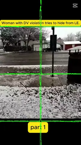 Woman with DV violation tries to hide from LE. #cops #copsoftiktok #copstiktok #police #policeofficer 