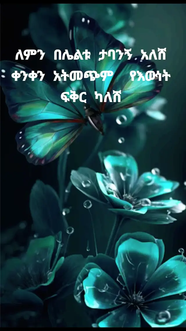 ለምን በሌሌቱ#ሀ#ሀበሻ🇪🇹🇪🇹🇪🇹tiktok #ኢትዮጵያ_ለዘለዓለም_ትኑር🇪🇹🇪🇹🇪🇹 #ኢትዮጵያ_ለዘለዓለም_ትኑር🇪🇹🇪🇹 #ፈጣሪኢትዮጲያንእናልጆቿንአሰባት🙏🙏🙏 #ኤፍሬምታምሩ #ሀበሻ🇪🇹🇪🇹🇪🇹tiktok #ሀበሻtiktok #ፈቅር🌺🥀🥀ብቻ🥀🥀🌺🌺 #ፈገግታ #ፈቅር🌺🥀🥀ብቻ🥀🥀🌺🌺 #ፈጣሪኢትዮጲያንእናልጆቿንአሰባት🙏🙏🙏 #ፈገግታ #ፈታበሉልኝ #ፍቅር➻ብቻ🖇ፍቅር➻ብቻ❤🥀🔐 #ፍቅር💓ብቻ🥀🦋🥀🕊️🔐 #ፍቅር➻ብቻ🖇ፍቅር➻ብቻ❤🥀🔐🦋👑ፍቅር➻ብቻ🖇 #ፍ #ኢትዮጵያ_ለዘለዓለም_ትኑር🇪🇹🇪🇹🇪🇹 @Memar መማር @mahi የመነኗ👸🌾💚💛❤️ @ባላገሯ የዘሜ እህት @Habiba Habiba 🆘 @eyu&mare 