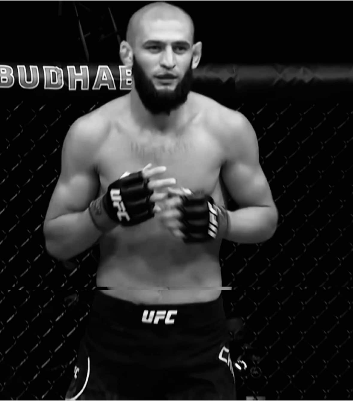 Borz🐺#khamzatchimaev #UFC #ufceurasia #edit #mmaedit