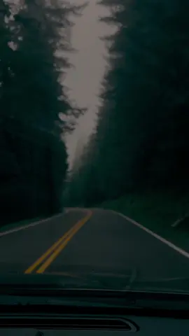 #nature #twillight #calm #pnw #foggy #mountains 