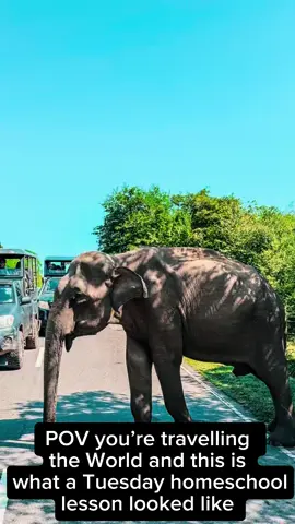 POV: you don’t go to school in the UK anymore and your mum and dad teach you instead. This is what a Wednesday world schooling in Sri Lanka looks like. 🐘🇱🇰 #srilanka #travel #travelwithkids #kidstravel #familytravel #worldschooling #CapCut 