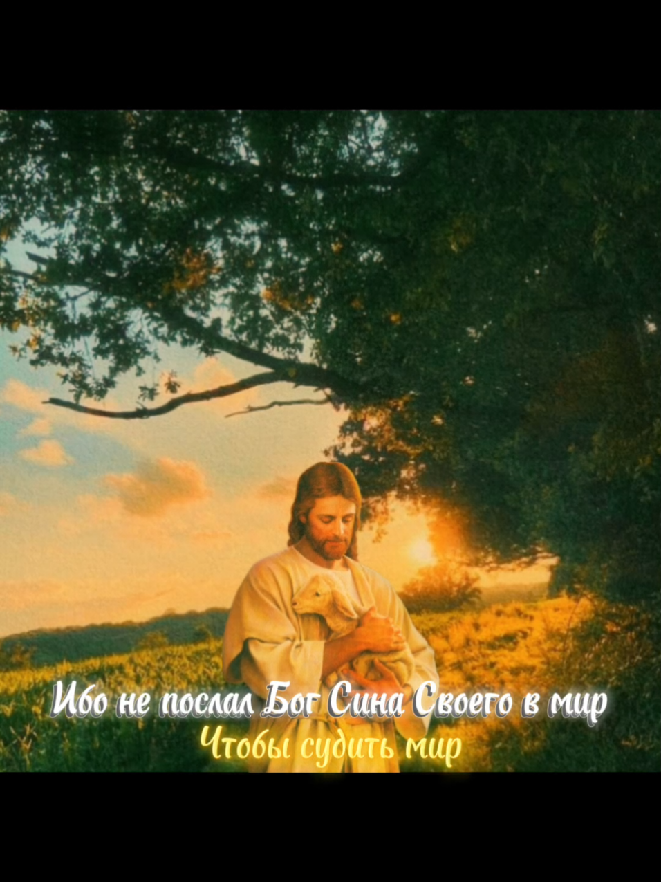 Евангелие от Иоанна 3:16-17 Ибо так возлюбил Бог мир, что отдал Сына Своего Единородного, дабы всякий, верующий в Него, не погиб, но имел жизнь вечную. Ибо не послал Бог Сына Своего в мир, чтобы судить мир, но чтобы мир спасён был через Него #небойся #богстобой #боглюбиттебя #jesuschristus #jesuslovesyou #отецнебесный #святойдух #fatherinheaven #holyspirit #christian_maks #God #стих #любовь #библия #жизньвечная 