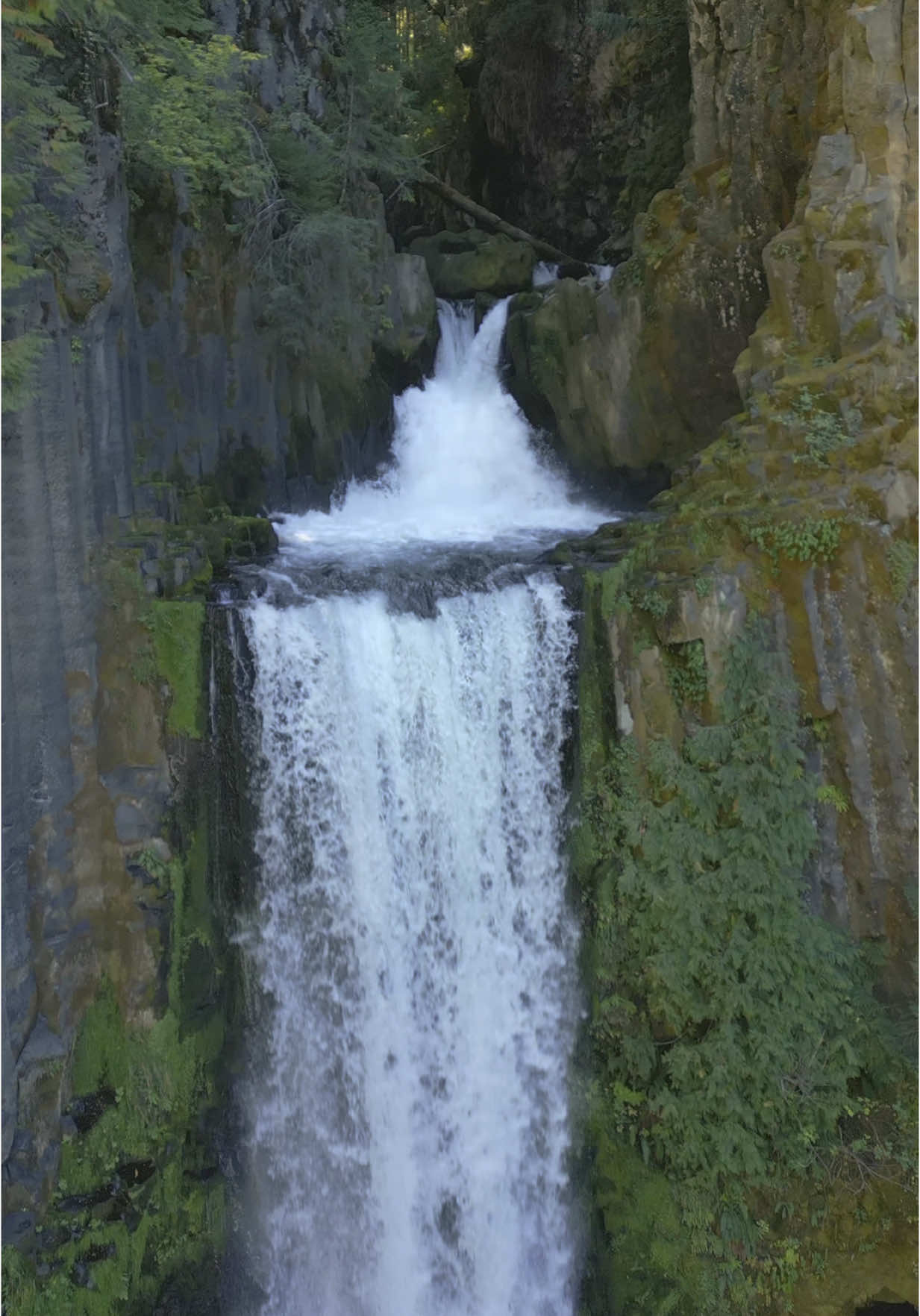 Pulling back to unveil a breathtaking waterfall, flanked by towering basalt columns deep in the forest—nature’s masterpiece carved by time 🤩 #nature #Outdoors #cinematic #calm #waterfalls 