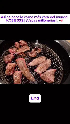 Así se hace la carne más cara del mundo: KOBE $$$ | ¡Vacas millonarias! 🇯🇵🥩#end