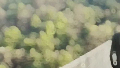 ধন্যবাদ তোমাকে জীবনের কিছুটা সময় আমার পাশে থাকার জন্য।🖤🥀#সে #foryou #foryoupage #unfrezzmyaccount #vairal #tiktok #tiktokbangladesh 