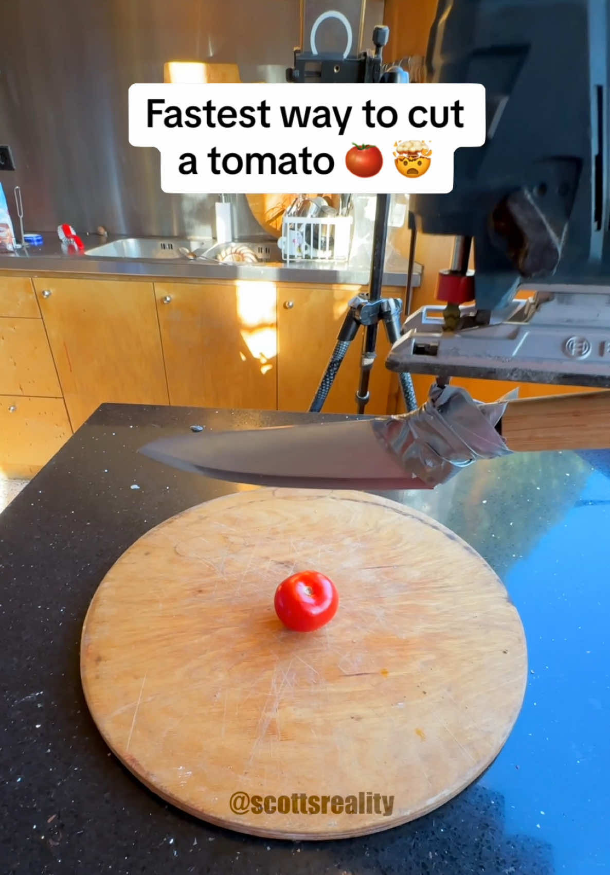 I did not expect that 😭😂 #tomato 