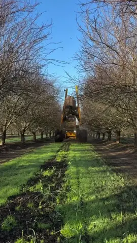 #usaagriculture #agriculture #jhondere #farmingtiktok #tractor #jhondeere 