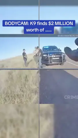 BODYCAM: K9 finds $2 MILLION worth of ...... #cops #copsoftiktok 