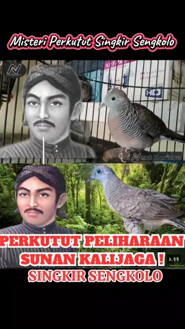 PERKUTUT SINGKIR SENGKOLO DI RAWAT SUNAN KALIJAGA #perkututsingkirsengkolo #keturanggan #perkututketuranggan #perkutut #perkututgacor #perkututlokal #bangkok  #bangkokgacor 