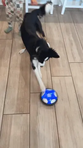 My kids & pups Love this hover toy!!! #hoverball #Soccer #soccerball #sahm #kidstoys #amazonfinds #amazonmusthaves 