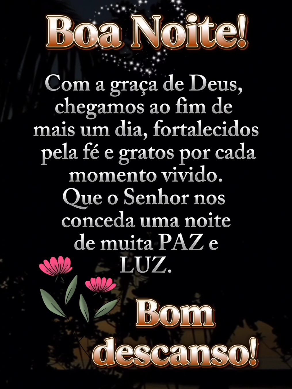 Boa noite, bom descanso!🌹✨❤️ #boanoite #noite #mensagemdeboanoite #noiteabençoada #noitelinda #mensagem #video #louvor #adoracao #gospel 