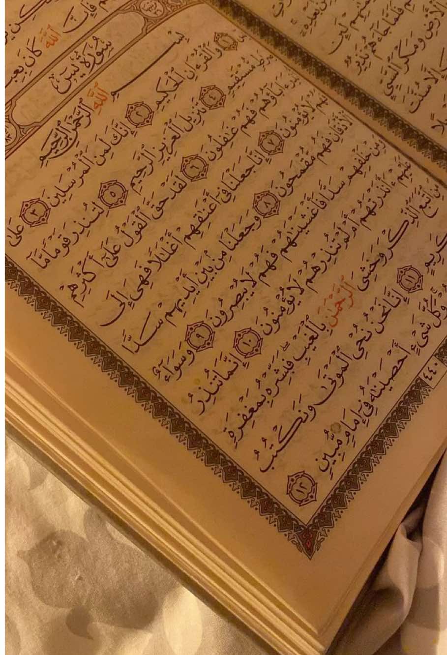 #اعمال #رمضانية #لقضاء_الحوائج #اكسبلورexplore #lik #ادعية #سورةيس #سورةالصافات #قران #مالي_خلق_احط_هاشتاقات #كومنت #Ramadan2025 