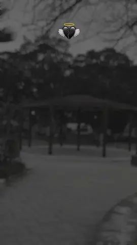 #وضع_طيران_________☻❤✈عام #ــــــــ❥ــہہـــہــہہـ❥ــــــہ #شاشة_سوداء #تصميم_فيديوهات🎶🎤🎬تصميمي🔥 #سطوريات_ #تعليقاتكم #😁😁✨🎶✨❤️ #مجرد_ذووقツ🖤🎼 #نص_إلى_كلام💔💓💔💓💓💓 