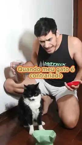 🤷🏻‍♂️Só porque não coloquei sachê para meu gato!! Quem mais passa por isso? deixe seu comentário👇🏻😼 🙋🏻‍♂️Compartilhe essa julgamento com amigos e familiares amantes de gatos!! 🥰 Siga @frajolitogato para mais humor 😽 . . . . . . . #gato #sachedegato #bomdia #querida #deboche #cats #gatos #gatosdoinstagram #pets #humor  #comedia  #humorfelino  #gatinhosfofos #gatospretoebranco #gatosengraçados #frajolito #gateiros #gateiras #dublagem #rir