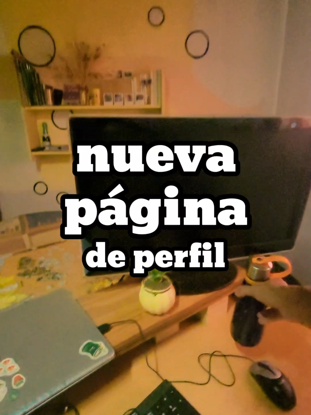 Perfil de usuario #programacion #aplicacionweb 