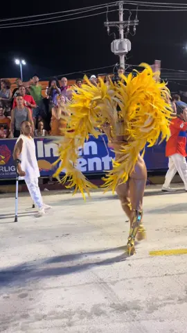 Oi amores, me contem o que acharam desse desfile ❤️‍🔥 #carnaval #rainhadebateria #samba #fyyyyyyyyyyyyyyyy 