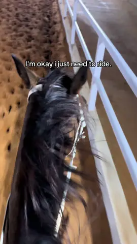 #fyp #خيل_وخياله🐎  ❤️