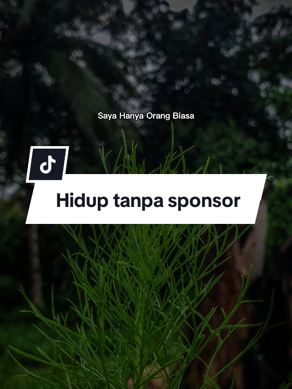 Hidup tanpa sponsor orang tua #CapCut #status #trending #viral #fyppppppppppppppppppppppp #fyp #katakata #story #kehidupan #quotesstory #quotes #motivasihidup #motivasidiri #orangtua 
