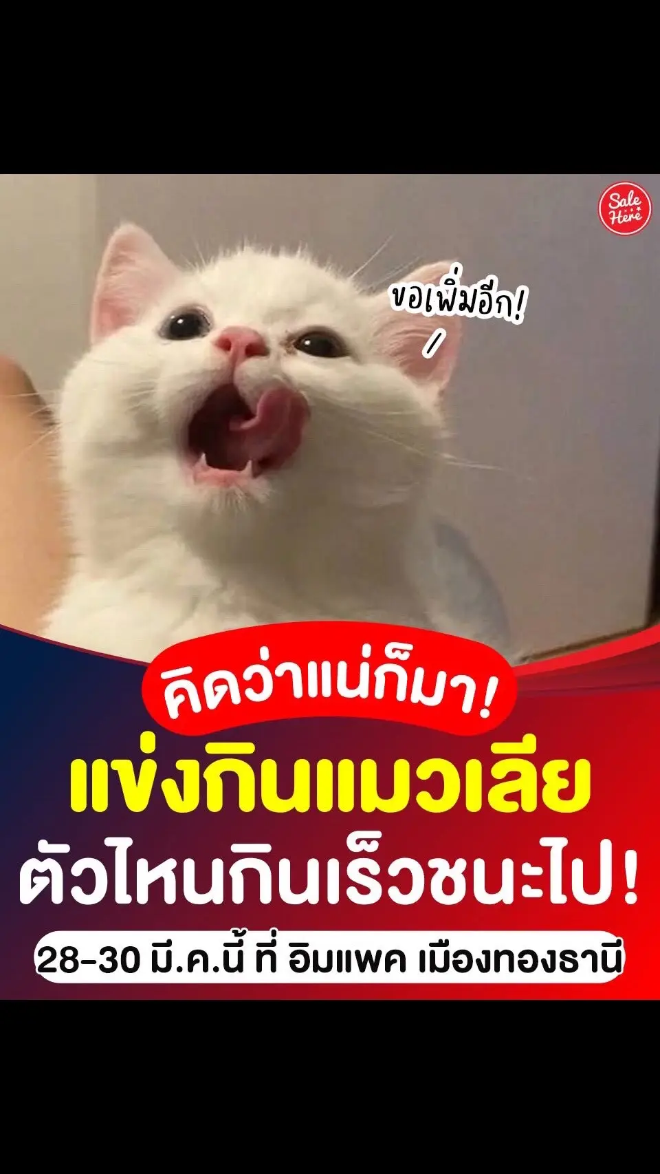 📣 คิดว่าแน่ก็มาเลยเจ้าเหมียวว 🐈~ งานแข่งขันที่ทุกคนรอคอย กับ “กินสะบัด ตวัดหมดซอง” หรือ #แข่งกินแมวเลีย 😽 กติกาง่ายๆ เพียงแค่ใครกินไวกินเร็วที่สุดก็ชนะไปเลย แถมกิจกรรมนี้ #ลงทะเบียนฟรี ไม่มีเสียค่าใช้จ่าย ✨ ใครคิดว่าแมวตัวเองกินไว กินแซ่บ บอกเลยว่าต้องลง สนามนี้แหละวัดกันไปเลยว่าลูกฉันหนะกินไวที่สุด 😋 รีบลงทะเบียนกันน้า ช้าหมดอดเฉิดฉายนะเหมียว 🥰~ 🗓 สมัครได้แล้วตั้งแต่วันนี้ 📱 ที่ https://salehere.co.th/r/GBuETC  🗓 แข่งวันที่ 28 – 30 มี.ค. 68  📍 ที่ อาคาร 8 อิมแพ็ค เมืองทองธานี 🙇🏻‍♀️ ขอขอบคุณข้อมูลจาก : Thailandcatloversfair  #SaleHere #เซลเฮียร์ #ทาสแมว #แมวเลีย #Thailandcatloversfair 