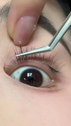 #자연스러운속눈썹 #노글루속눈썹 #인형속눈썹 #바비바라속눈썹 #노글루속눈썹추천 #가닥속눈썹 #데일리 